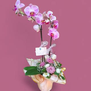 Frame Serisi Seni Seviyorum Orkide Tasarım