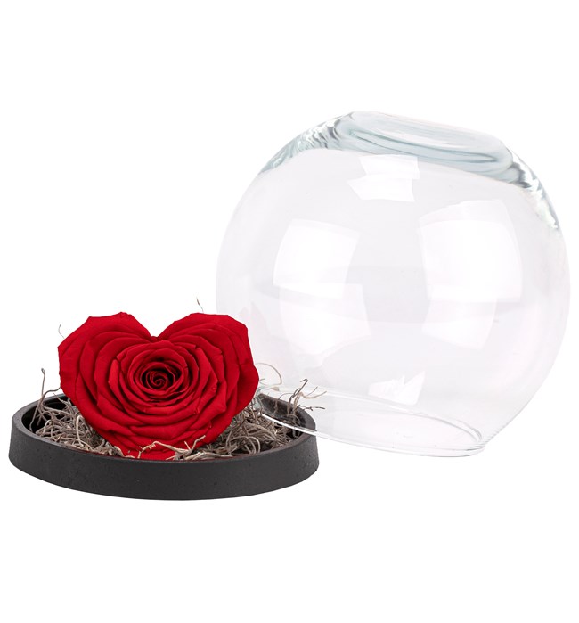 Küre Serisi XXL Red Heart Solmayan Gül Tasarım