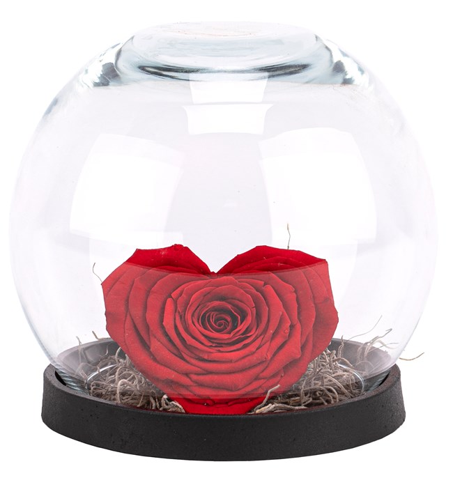 Küre Serisi XXL Red Heart Solmayan Gül Tasarım