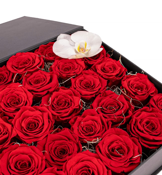 Kırmızı Solmayan Güller 