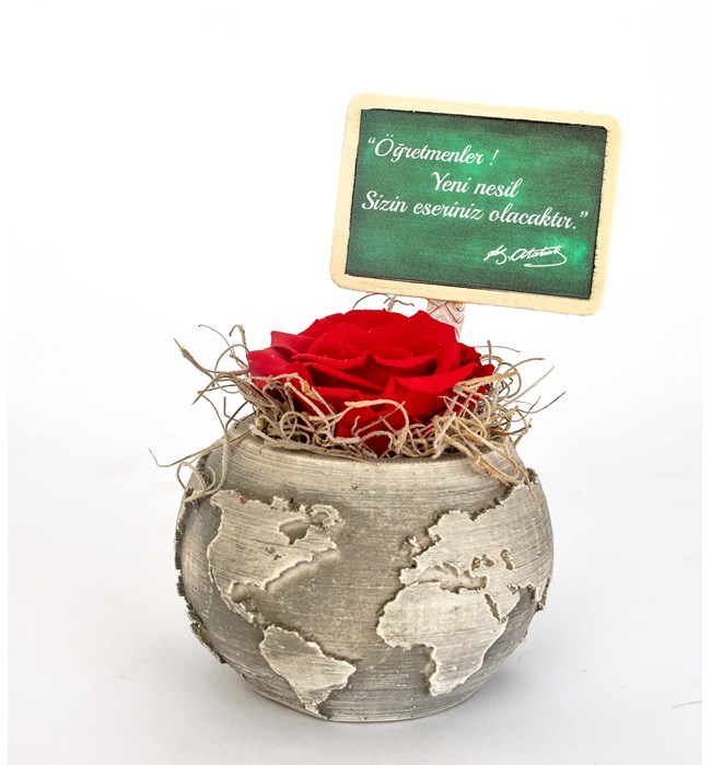My World Serisi Öğretmenler Günü Özel Solmayan Gül Tasarım