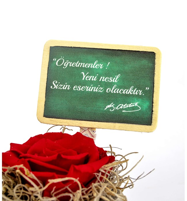 My World Serisi Öğretmenler Günü Özel Solmayan Gül Tasarım