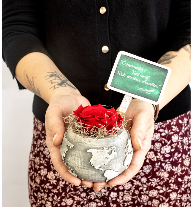 My World Serisi Öğretmenler Günü Özel Solmayan Gül Tasarım