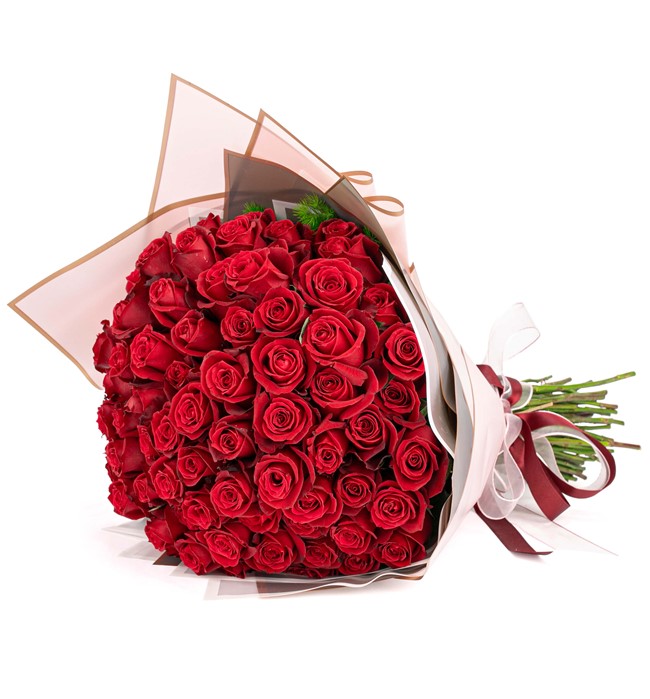 71 Kırmızı Gül Tasarım