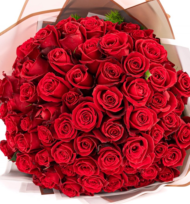 71 Kırmızı Gül Tasarım