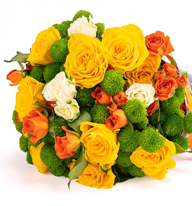 Sarı ve Turuncu Güller