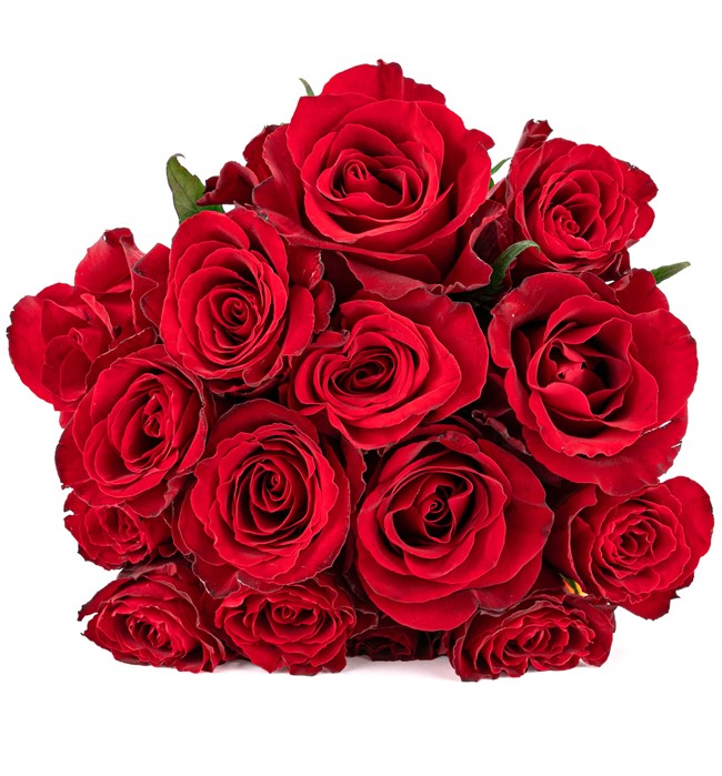  15 li Kırmızı Gül Tasarım