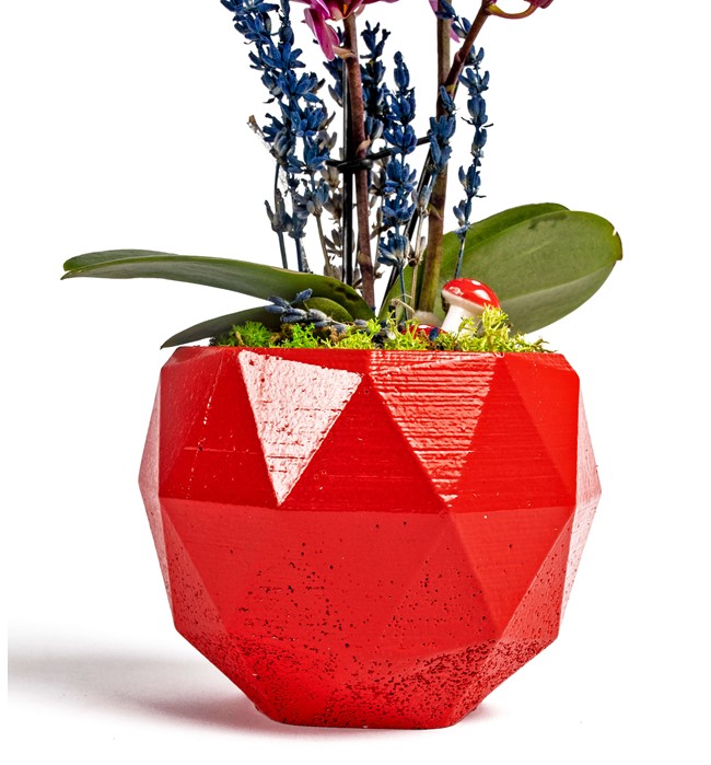 Geometrik Saksıda Mini Orkide Tasarım - Red