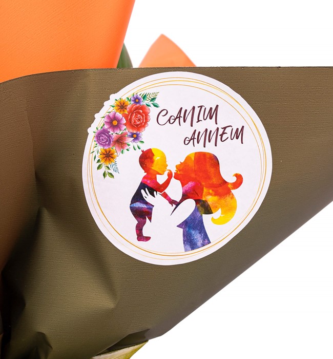  Tek Dal Beyaz Orkide