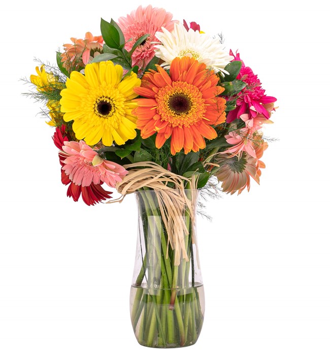 Ayıcıklı Özel Gerbera Aranjmanı