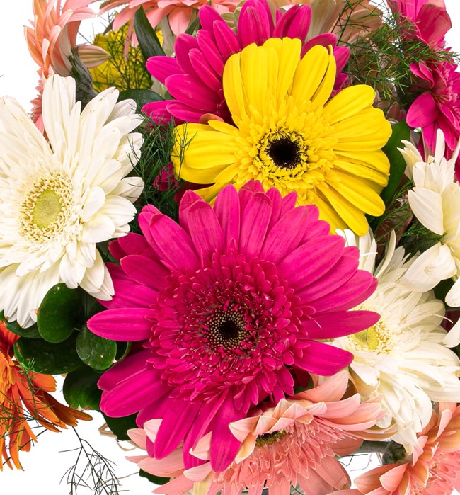 Ayıcıklı Özel Gerbera Aranjmanı