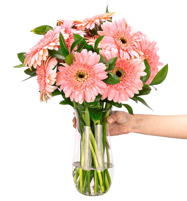 -Pembe Gerbera Aranjmanı