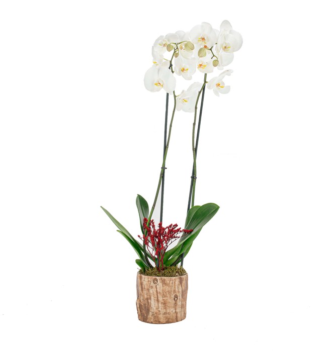 Wooden Serisi Kahve-Orkide Tasarım