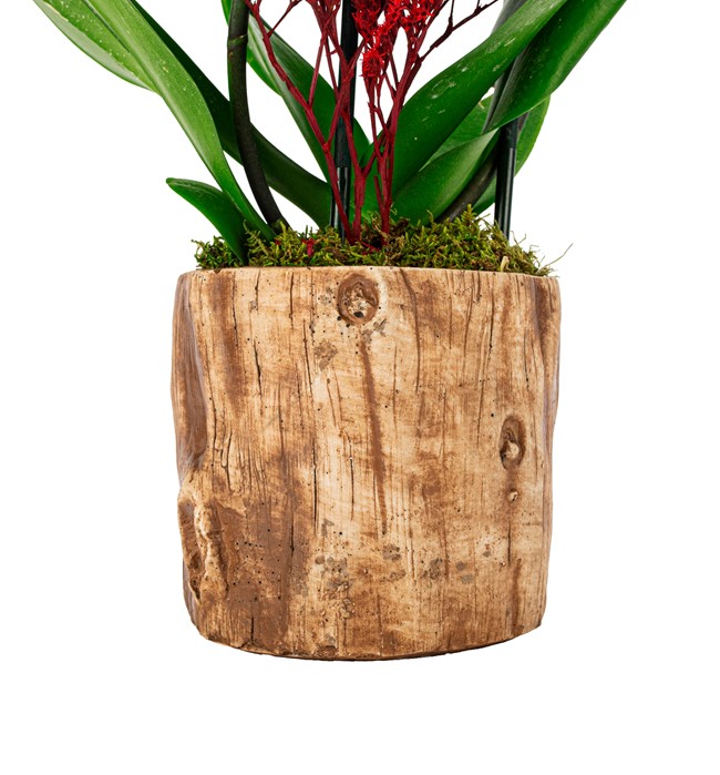 Wooden Serisi Kahve-Orkide Tasarım