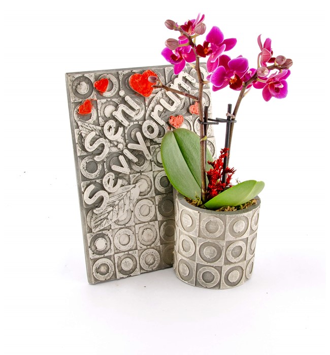 Frame Serisi Seni Seviyorum Orkide Tasarım