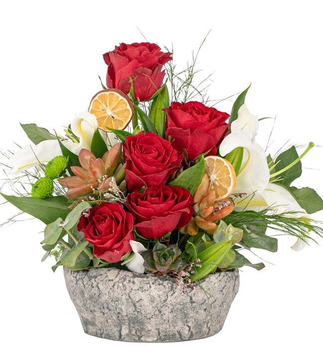 Akira Serisi Kırmızı Gül ve Lilyum Tasarım